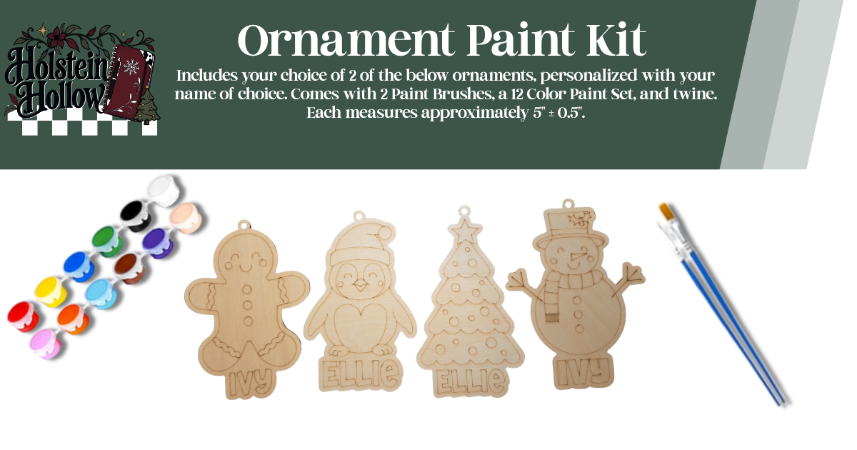 Ornament Paint Kit
