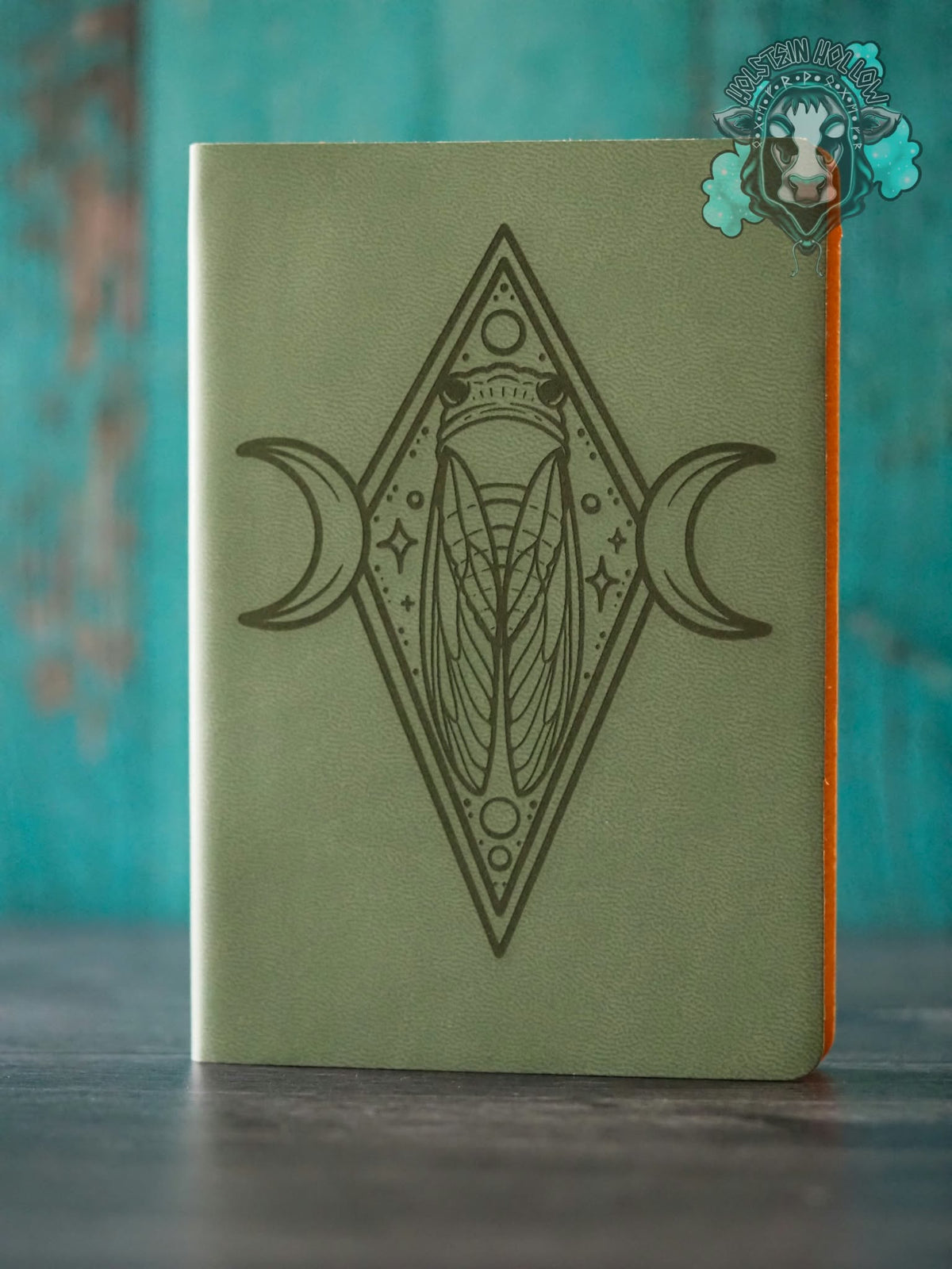Cicada Notebook