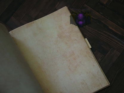 Grimoire of the Fallen Wyrm