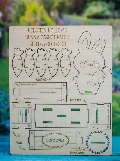 Bunny Carrot Patch Color & Build Kit